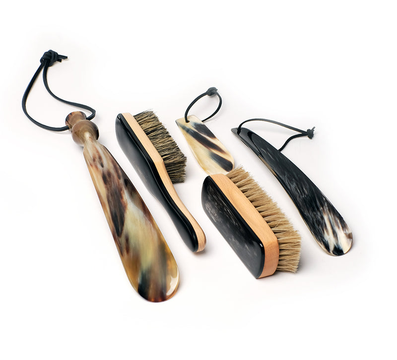 Shoe Brush