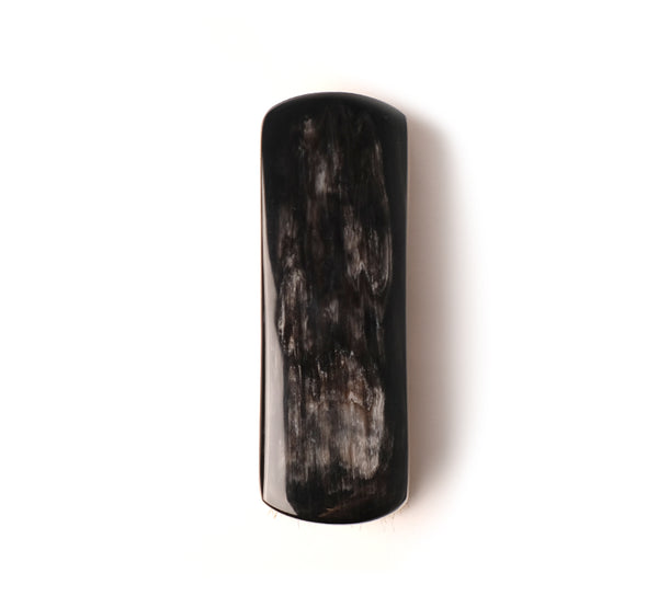 Shoe Brush