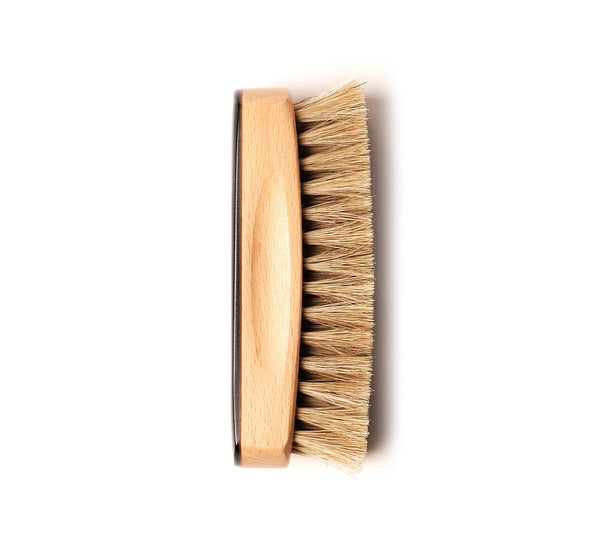 Shoe Brush